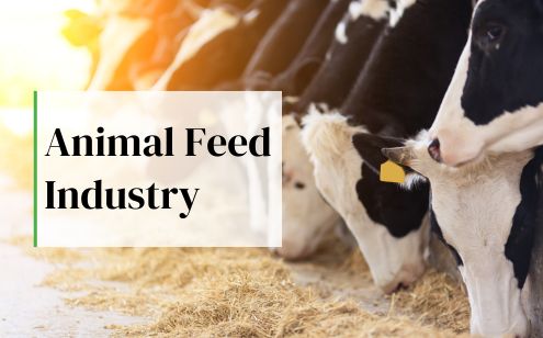 Animal Feed Industry