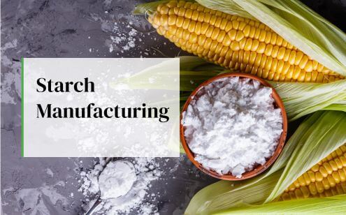 Starch Manufacturing