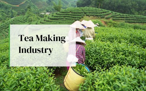 Tea Making Industry